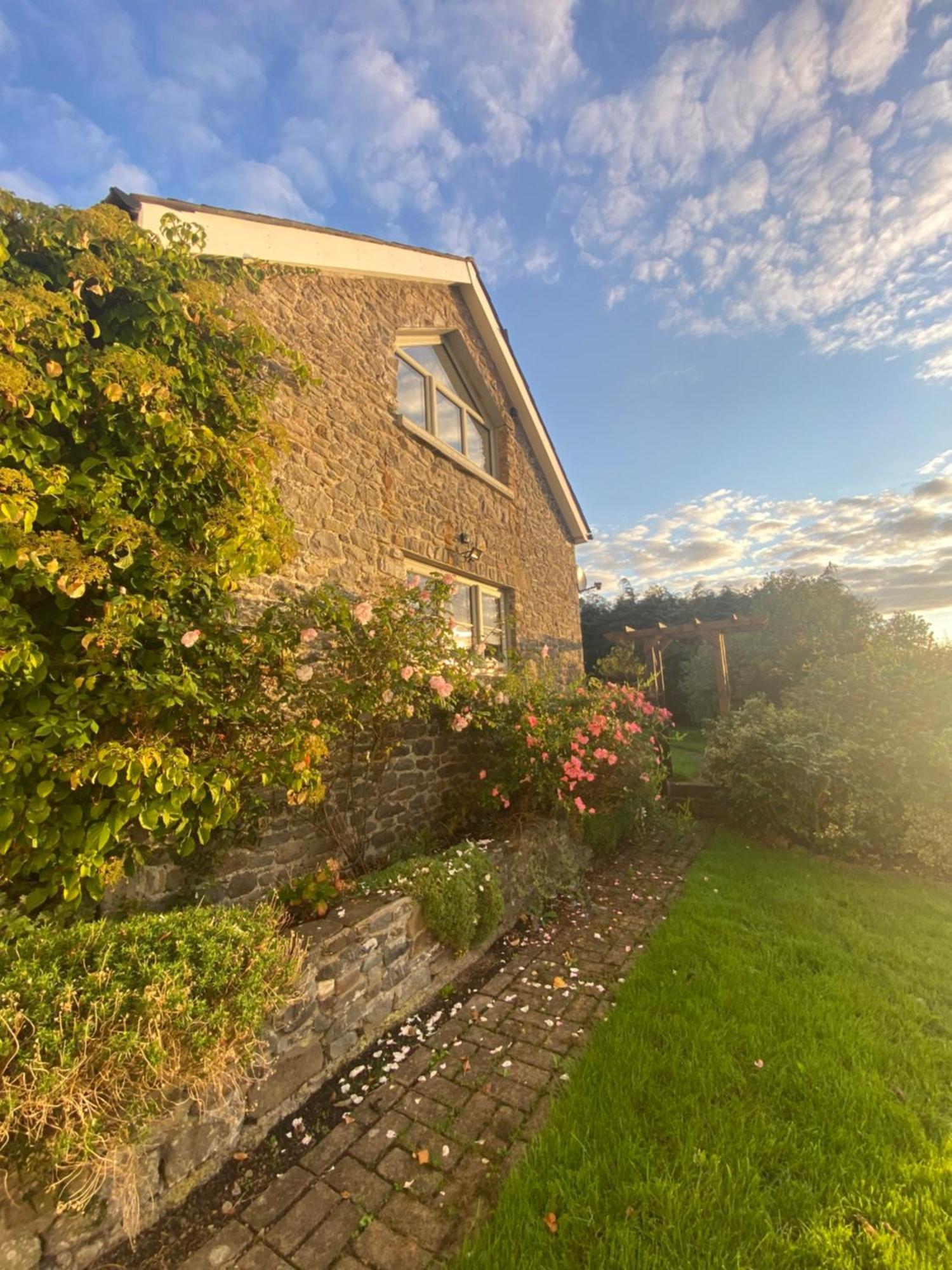 Pippin Lodge Llanwrda Exterior foto